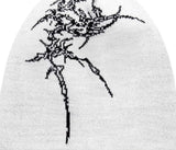 ORGANIC BONE PRINT KNIT HAT