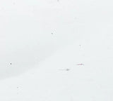 ストリートスタイルリベットスウェットパンツ